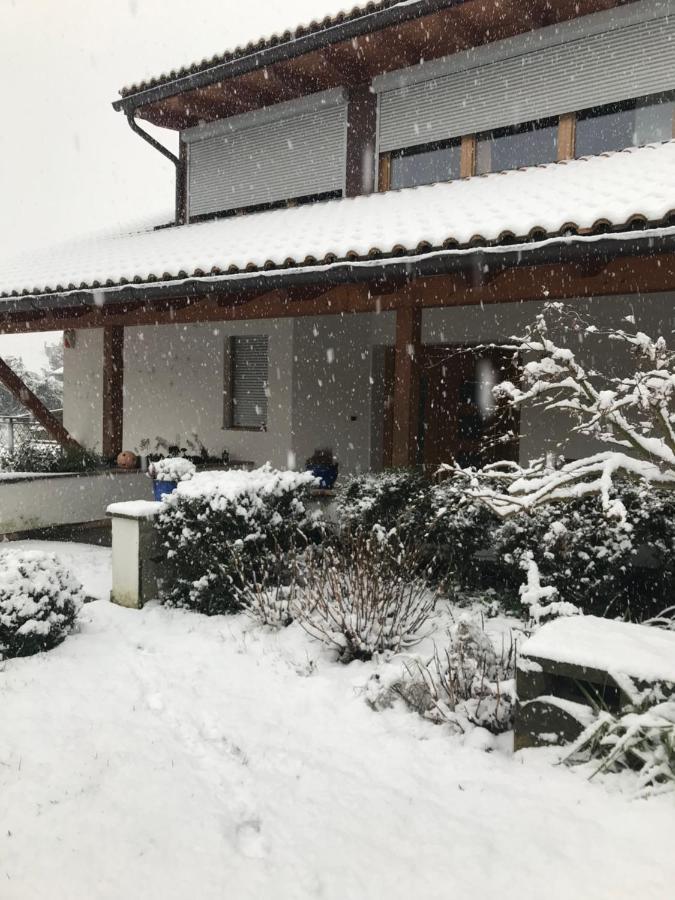 Апартаменты Haus Greti Magre all' Adige Экстерьер фото